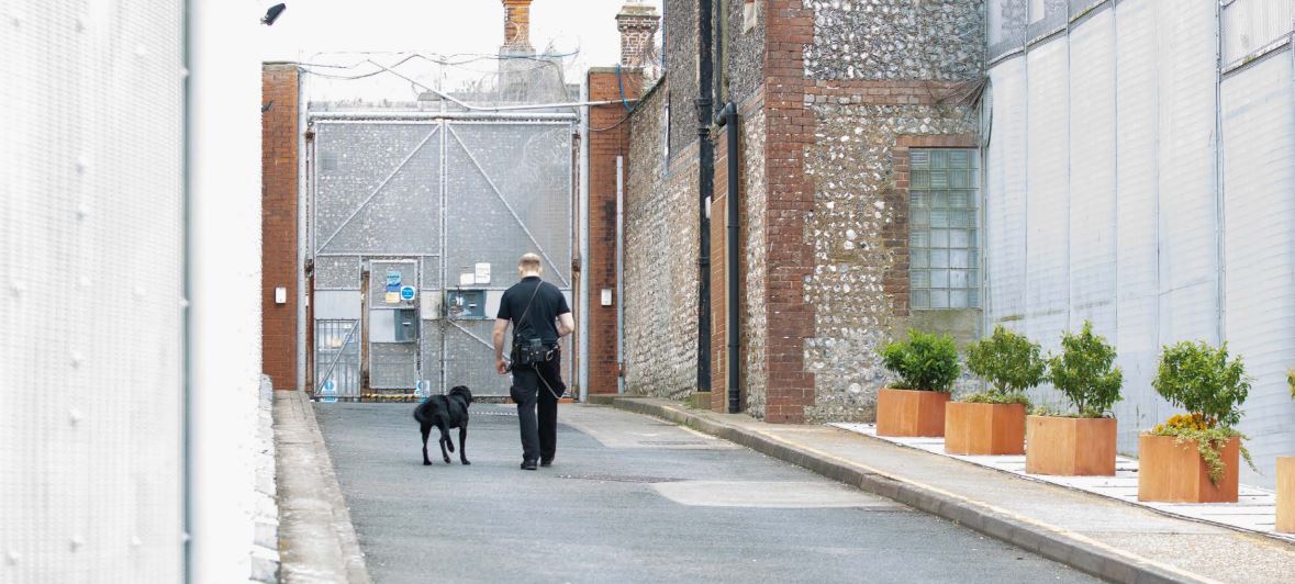 Photograph of an officer and sniffer dog walking towards a prison gate.