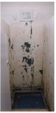 Mouldy, stained shower unit at HMP Risley