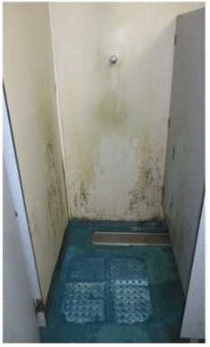 Mouldy, stained shower unit at HMP Risley