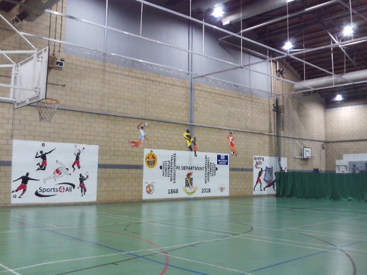 Photograph of the sports hall, with a green floor and markings for several sports, basketball hoops and decorative panels on the walls.