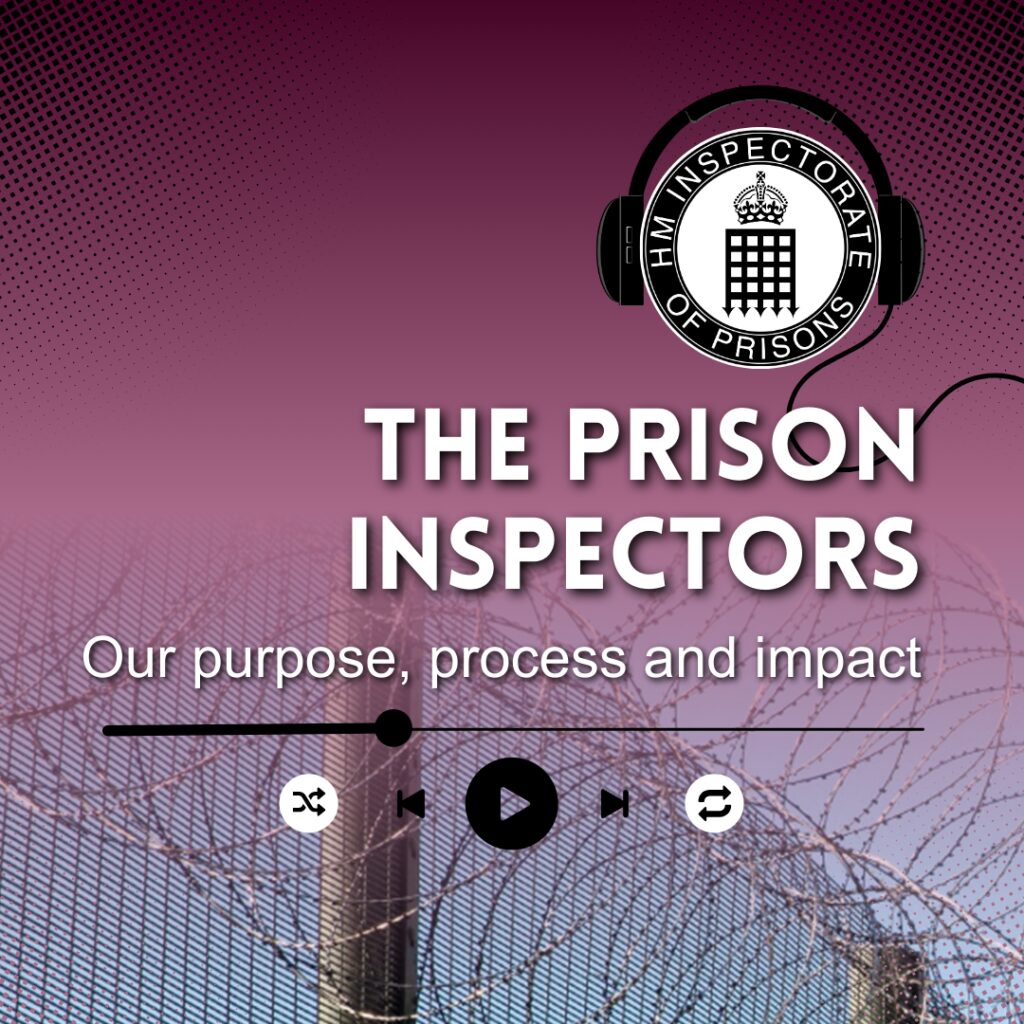 The Prison Inspectors, Our purpose, process and impact
