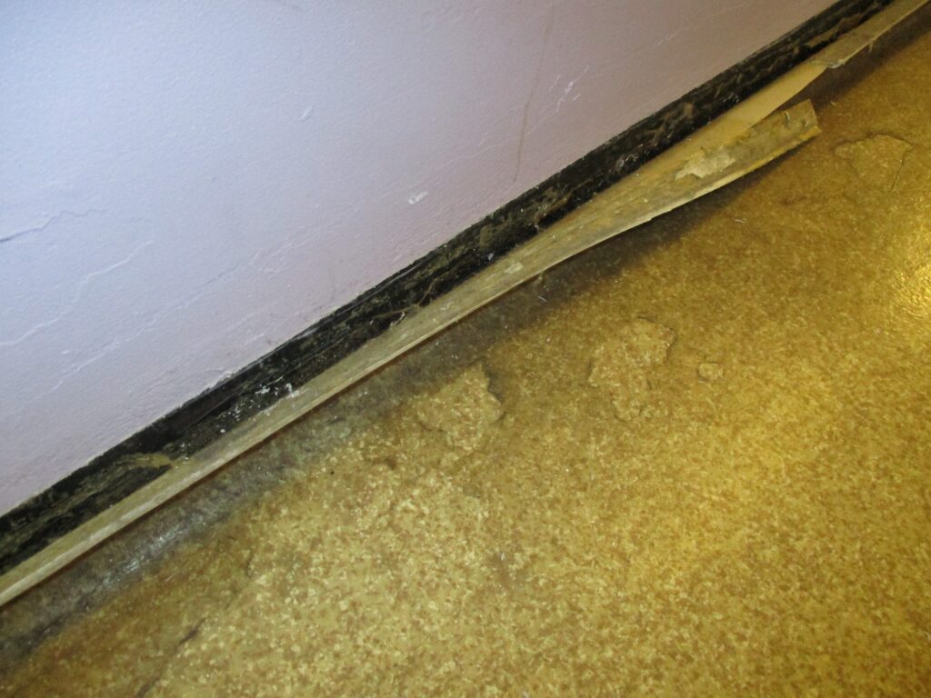 Another photo of the damaged flooring in the inpatient unit. In this photograph the flooring looks worn and damaged and the border securing the floor covering to the wall is coming away from its original position.