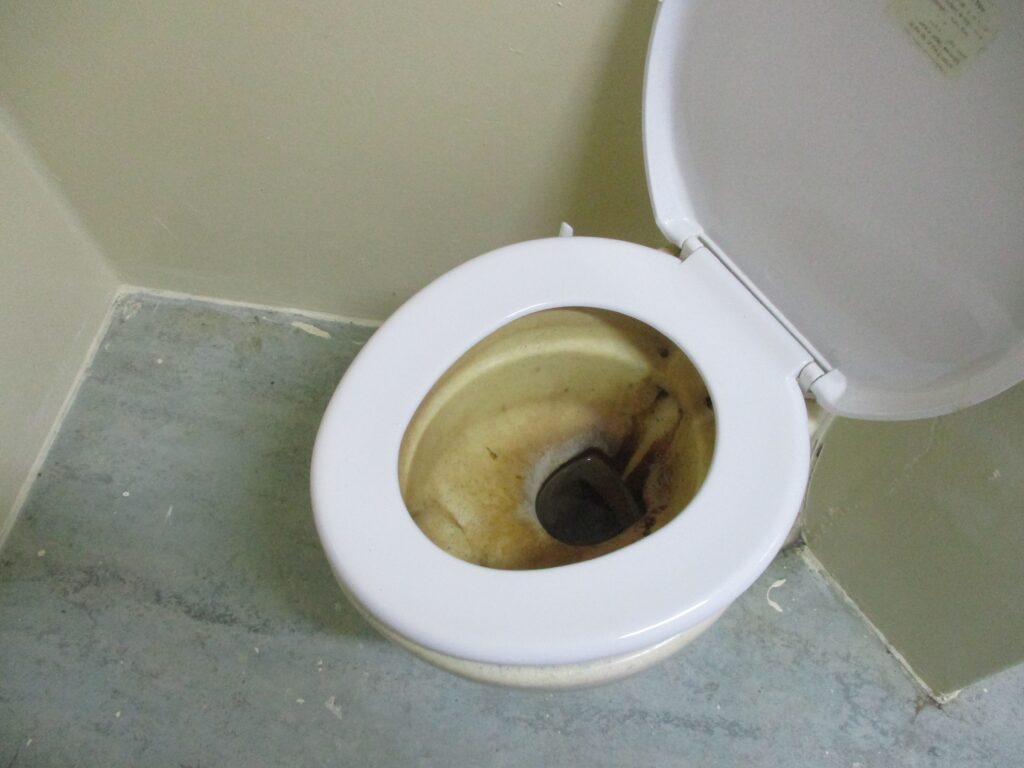 A photograph of a toilet in a ready-for-use induction cell. The lid of the toilet is open.