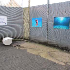 Photograph of the segregation exercise yard, with metal fencing displaying two underwater-themed artworks. A white plastic seat has fallen over on the paved flooring. A sign containing text is attached to the left fence panel.