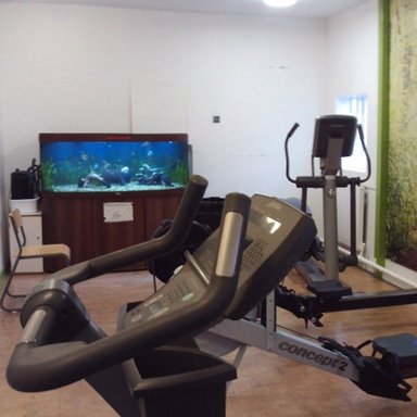 Photograph of on-wing exercise equipment, showing two exercise machines. A large aquarium with blue lighting sits on a wooden cabinet against a white wall.