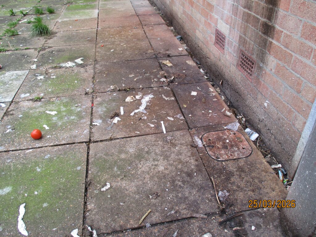 Photograph of contaminated ground outside the Albany unit.