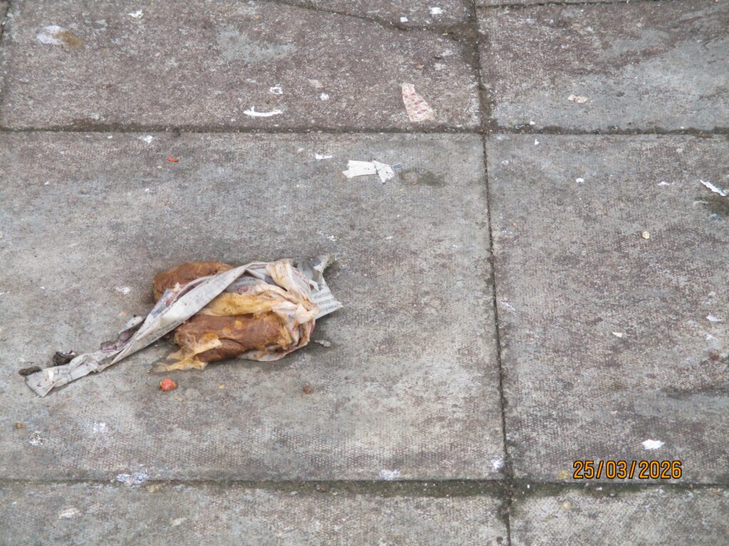 Photograph of discarded human waste wrapped in toilet paper on the ground outside one of the house blocks.