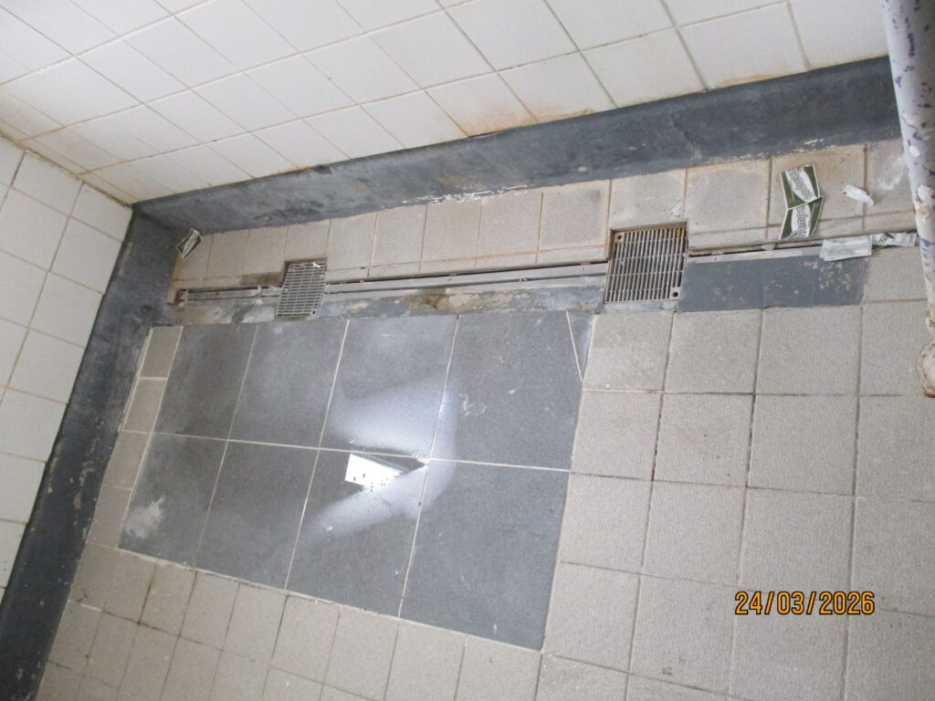 Photograph of a shower unit in the Pankhurst unit, withshower walls in need of cleaning and repair.