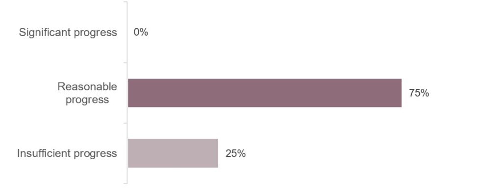 Bar chart illustrating progress against the themes raised by Ofsted at the 2025 inspection. Reasonable progress had been made against 75% of themes and insufficient progress had been made against 25% of themes.