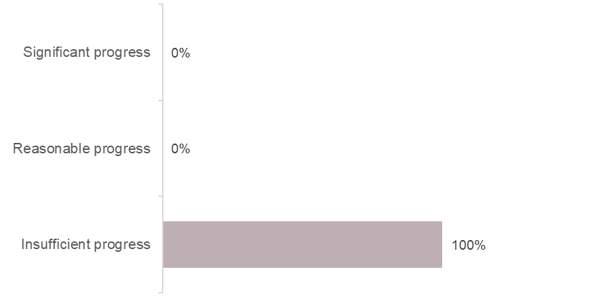Bar chart showing progress on Ofsted themes from 2025 inspection. There had been insufficient progress in 100% of the themes.