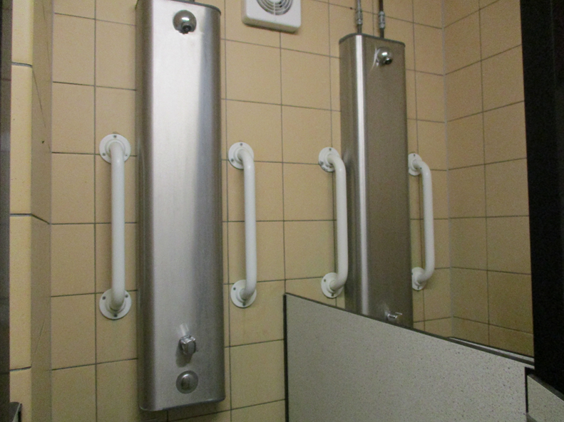 Photograph of a shower wall featuring a vertical stainless steel mounted between two white grab bars on beige tiled walls. A mirror on the right reflects the hand dryer and grab bars, emphasizing accessibility features.
