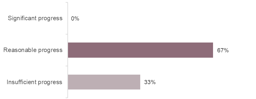 Bar chart showing progress on Ofsted themes from June 2025 inspection. There had been reasonable progress against 67% of themes, and insufficient progress against 33%.