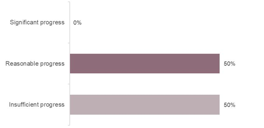 Bar chart of progress on Ofsted themes, with reasonable progress in 50% and insufficient progress in 50%.