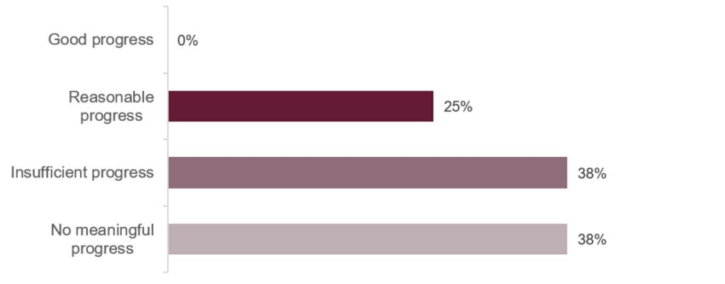 Bar chart illustrating the progress made by HMP Birmingham on the concerns raised by HMIP in October 2025. Reasonable progress had been made against 25% of concerns, insufficient progress against 38% of concerns, and no meaningful progress against a further 38% of concerns.