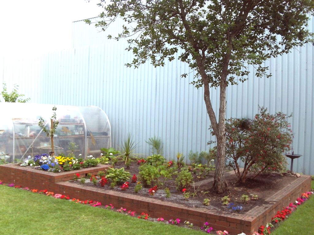 Photograph of a raised bed in the J wing garden. Shrubs, plants and a tree, and a small polytunnel are visible.