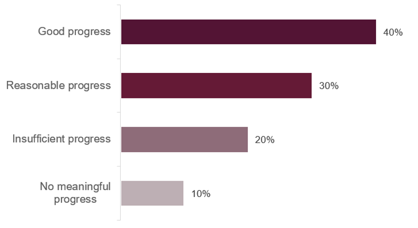 Horizontal bar chart showing progress levels with four categories: Good progress (40%), Reasonable progress (30%), Insufficient progress (20%), and No meaningful progress (10%).