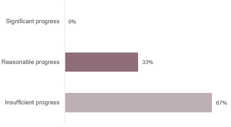 Bar chart showing progress levels with three horizontal bars labelled Significant progress, Reasonable progress, and Insufficient progress. Insufficient progress has the longest bar at 67%, Reasonable progress is 33%, and Significant progress is 0%.