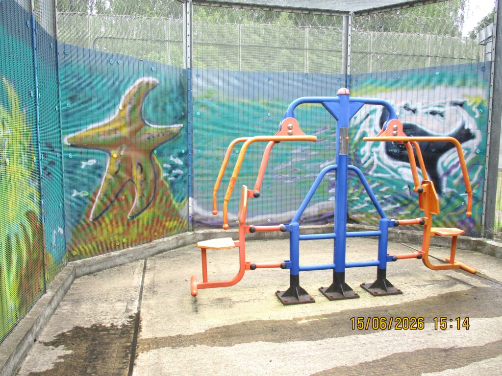 Photograph of the segregation unit exercise yard, a small space with some exercise equipment in the centre and paintings of sea creatures on its fencing.