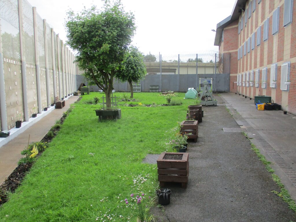 Photograph of the segregation unit garden, with a grass area with shrubs and trees to one side, and a concrete path next to the buildings on the other side.