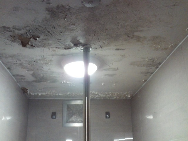 Photograph of the ceiling of a shower room ceiling on A wing. Mould and dirt are visible.