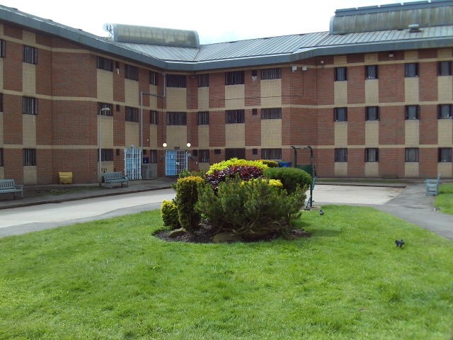 A photograph of an outside area with a bush in the middle of some grass, with concrete paths running around it. In the background there is a large brick building.
