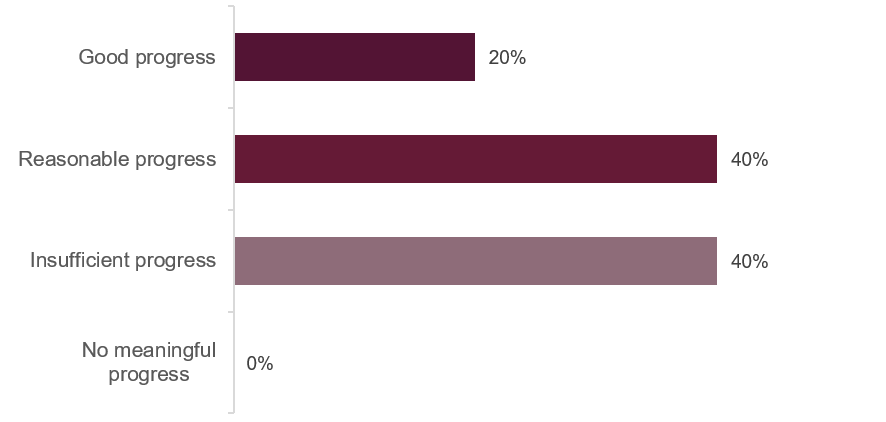 Horizontal bar chart displays progress levels with four categories: Good progress at 20%, Reasonable progress at 40%, Insufficient progress at 40%, and No meaningful progress at 0%.