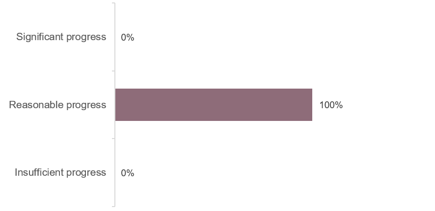 Horizontal bar chart showing progress levels with three categories: Significant progress, Reasonable progress, and Insufficient progress. Reasonable progress bar is labelled 100%, while other categories show 0%.