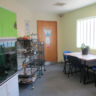 Photograph shows an animal-care space with an aquarium and stacked animal cages. There is a green bulletin board, wooden door, a table and chairs, a large window and a potted plant.