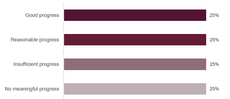 Horizontal bar chart summarizing progress ratings: Good progress, Reasonable progress, Insufficient progress, and No meaningful progress each account for 25%.