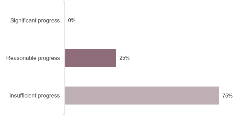 Horizontal bar chart summarizes progress ratings: Significant progress 0%, Reasonable progress 25%, and Insufficient progress 75%.