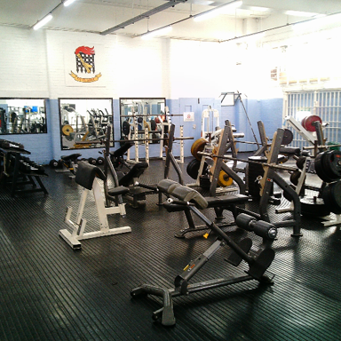 Photograph showing a gym equipped for strength training and exercise. Weight benches, squat racks, barbells, cable machines, mirrors, rubber flooring, blue-and-white walls, and bright overhead lighting fill the room.