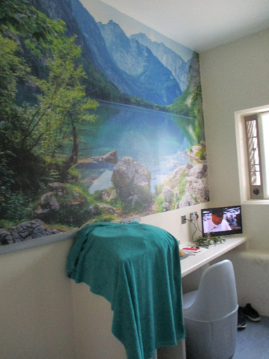 Photograph showing constant supervision cell one with a large wall mural depicting a mountain lake, forest, rocks, and layered peaks. There is a white desk with a small television on it and a chair tucked underneath.
