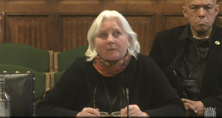 Juliet Lyon, giving evidence at the Justice Select Committee.