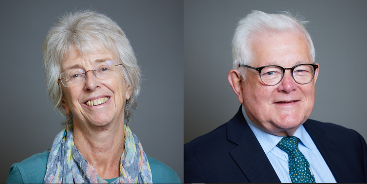 Picture of Baroness Lister of Burtersett and Lord German