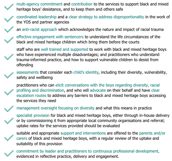 The image text highlights standards for supporting Black and mixed heritage boys. There are several bullet points with tick marks, each describing different aspects of the services, such as multi-agency commitment, leadership, anti-racist approaches, and support for vulnerable children.
