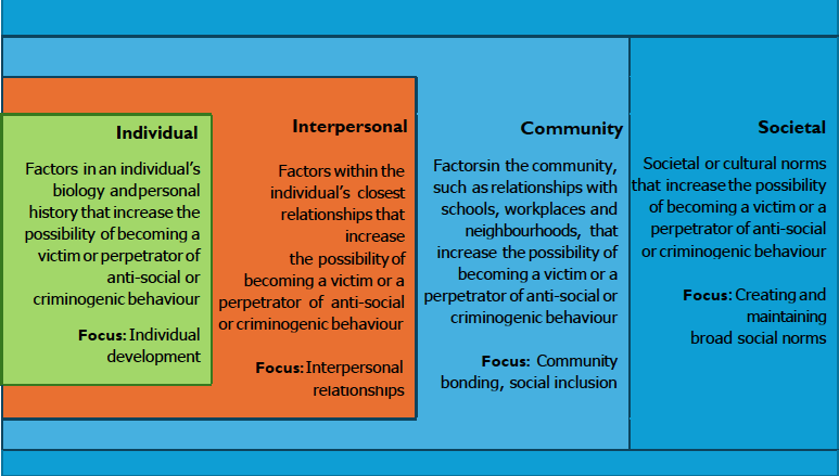 There is a table divided into four columns, each representing a different level: Individual, Interpersonal, Community, and Societal. Each column is colour-coded and contains a brief description of factors related to anti-social or criminogenic behaviour and their focus areas.