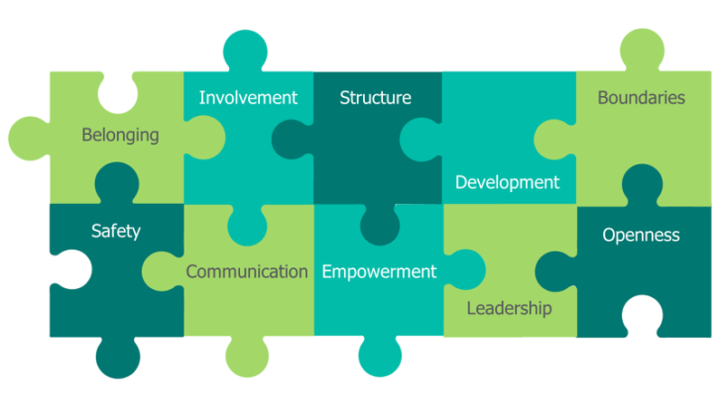 Infographic of a puzzle with interlinking pieces representing enabling environments standards reads 'belonging, safety, involvement, communication, structure, empowerment, development, leadership, boundaries and openness'.