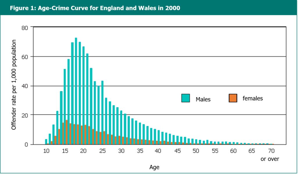 Graph displays age-crime curve for England and Wales in 2000, findings discussed in the preceding text.