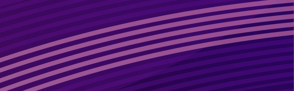 Purple colour banner
