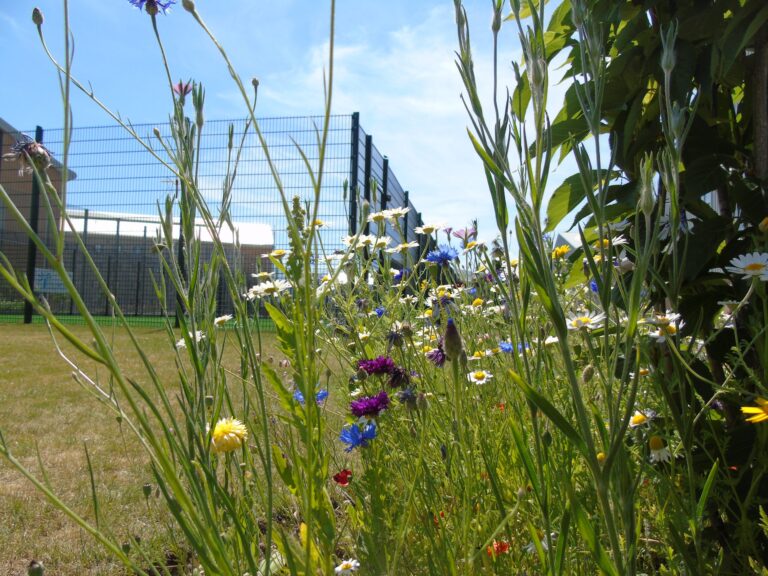 The outdoor area at HMP Berwyn