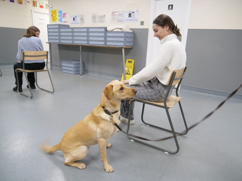 Image of a prison visitor being search by a sniffer dog