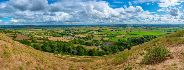 image of fields and trees