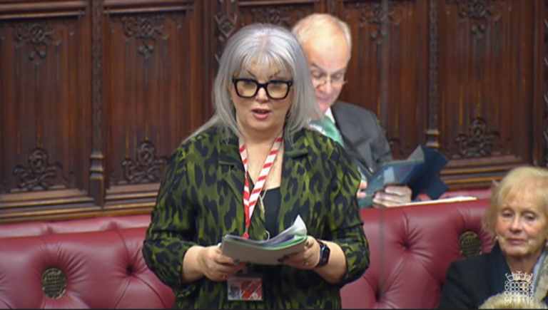 Baroness Newlove speaking in the chamber of the House of Lords.